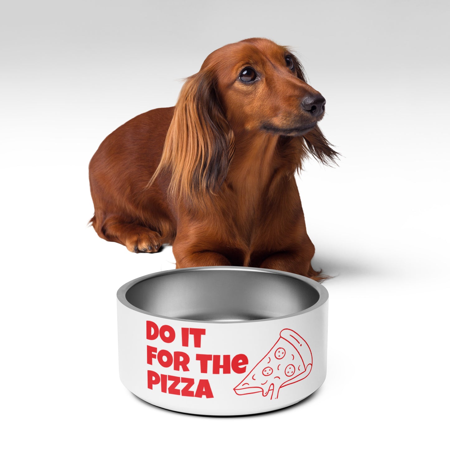 Pizza Pet Bowl