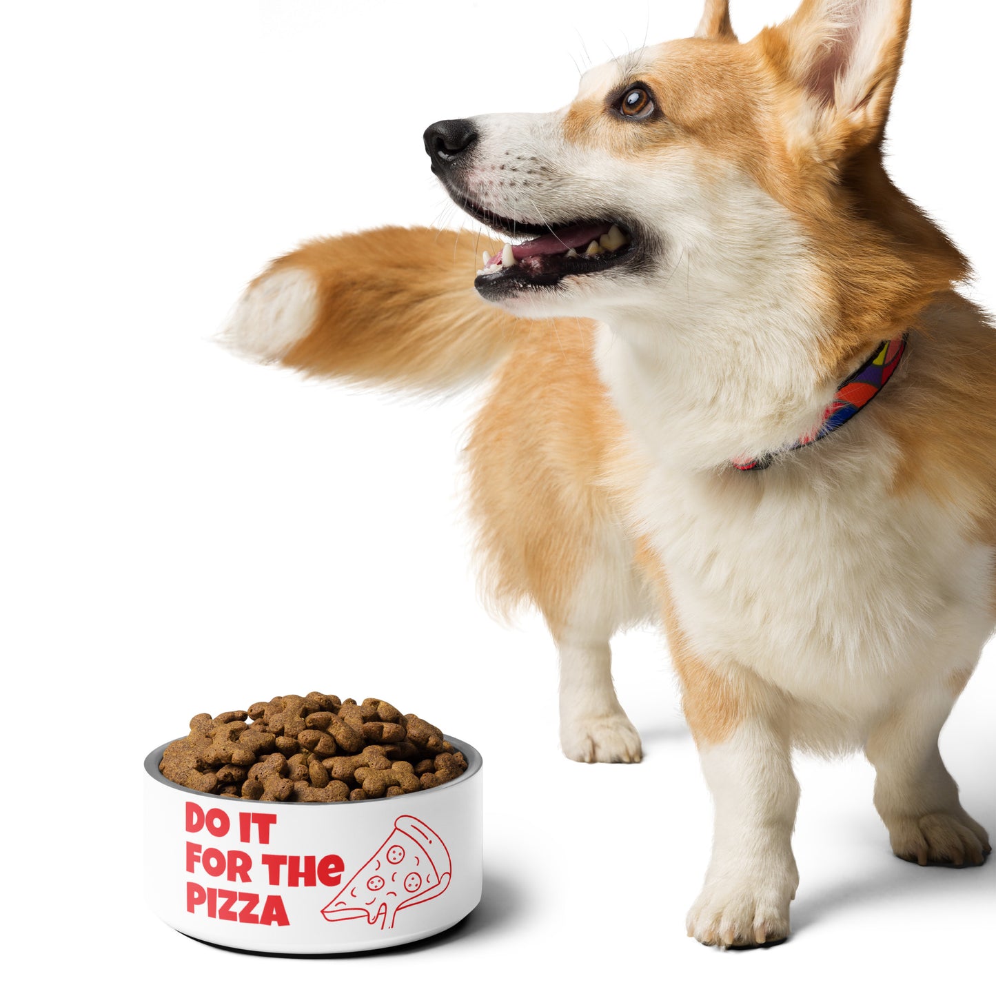Pizza Pet Bowl