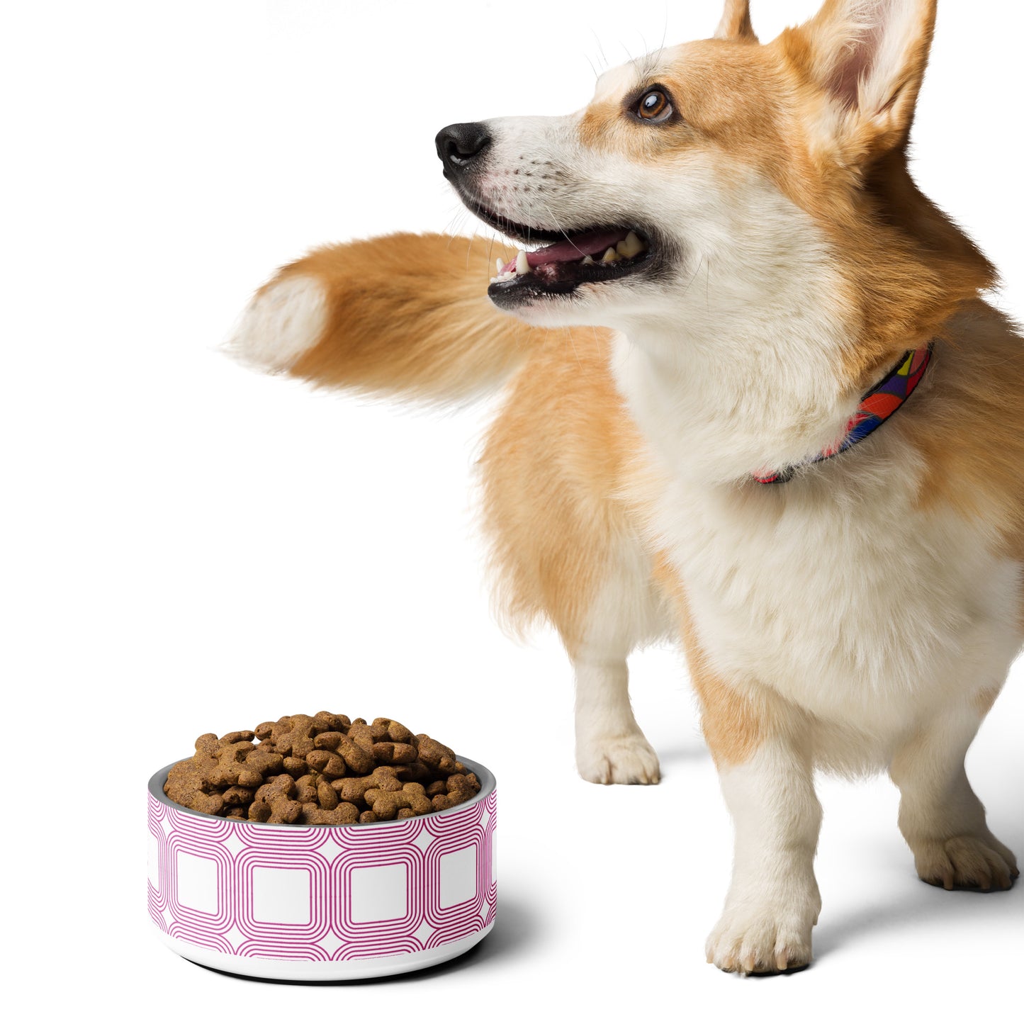 Milaws Paws Pet bowl