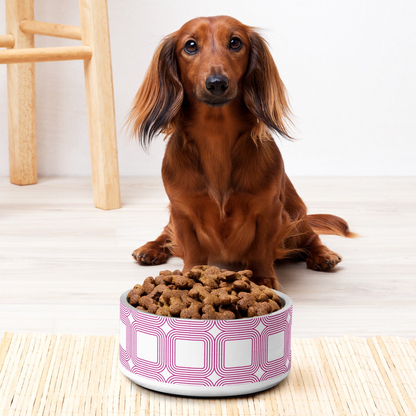 Milaws Paws Pet bowl